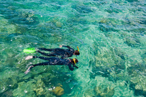 Snorkelers, Great Barrier Reef, Australia