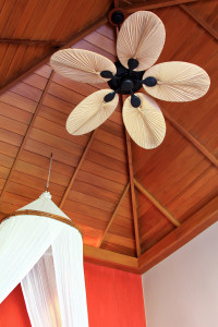  Ceiling Fan 